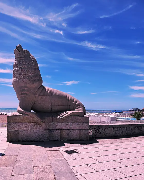 El lobo marino de Mar del Plata